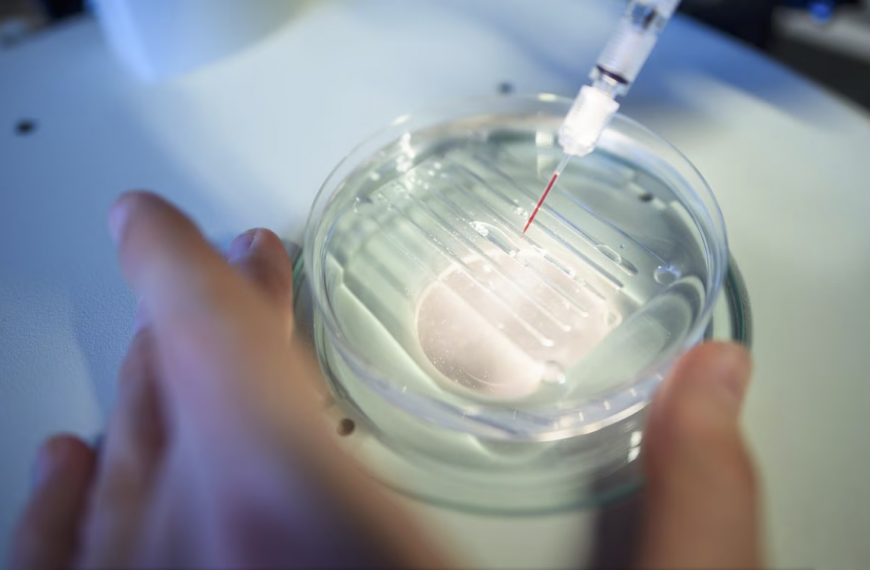 La agencia del medicamento de EEUU abre la puerta al primer tratamiento con edición genética CRISPR